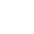 NPP-LFS-2